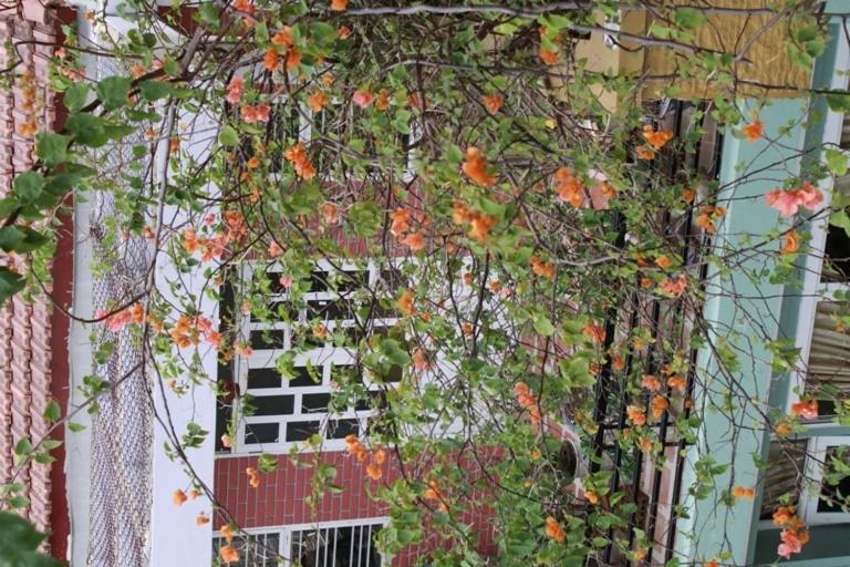 Phong Lan Guesthouse Hue Quarto foto